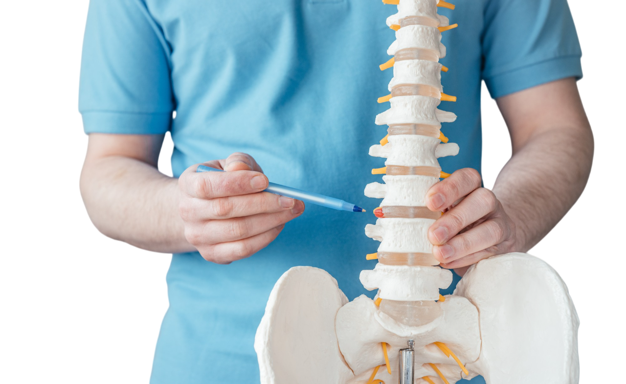 Chiropractor in Springtown, TX